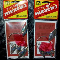 School O' Minnows 