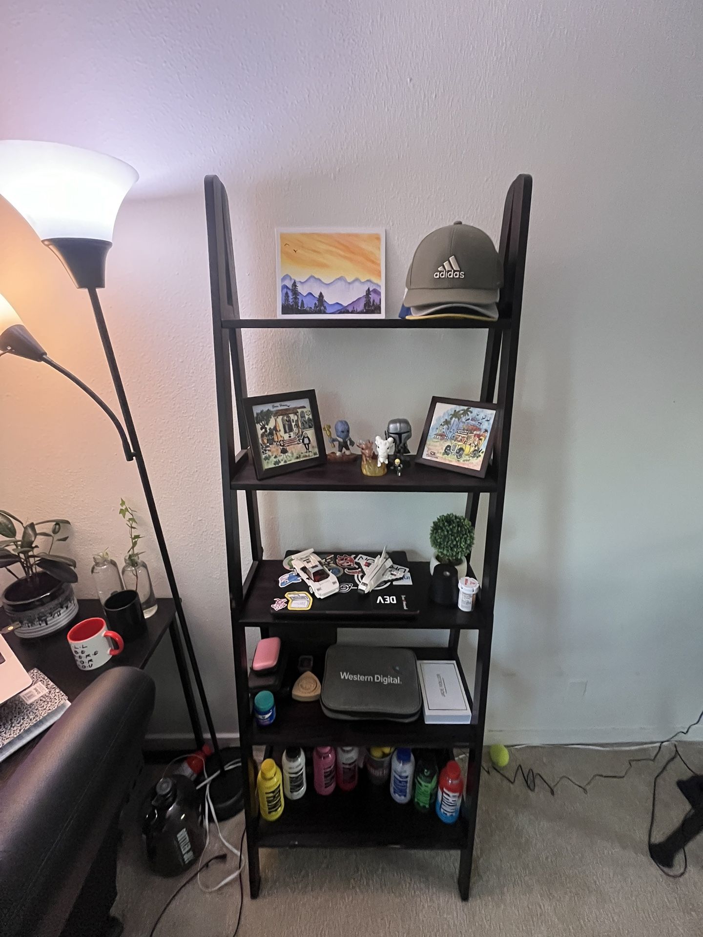 Ladder Shelf