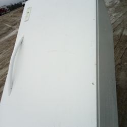 Upright Freezer