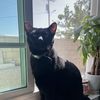 Bruce