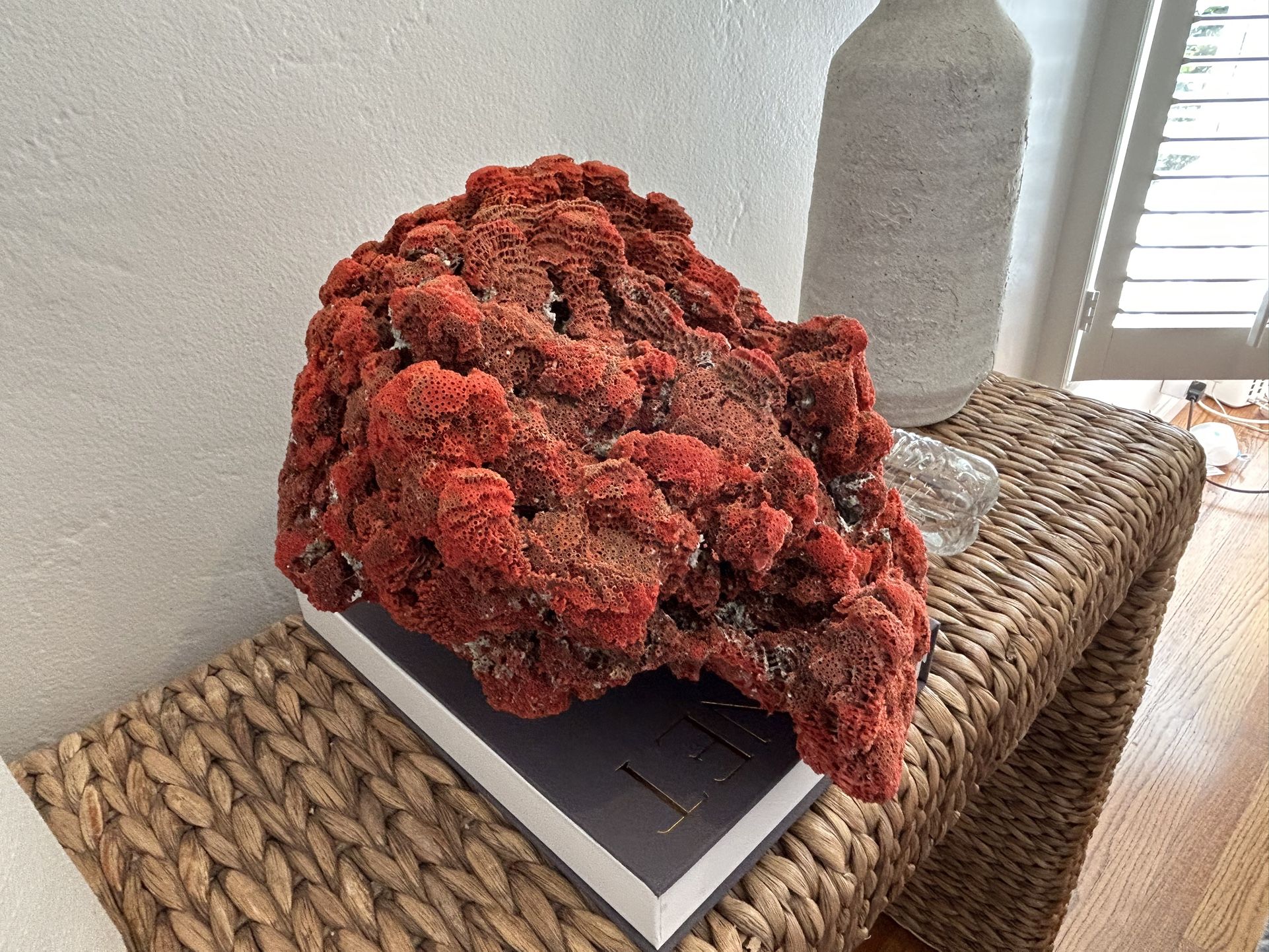 Vintage Natural Crimson Red Coral Reef Pipe Organ Specimen Large Centerpiece Aquarium Decor Sea Ocean Gorgeous Striking