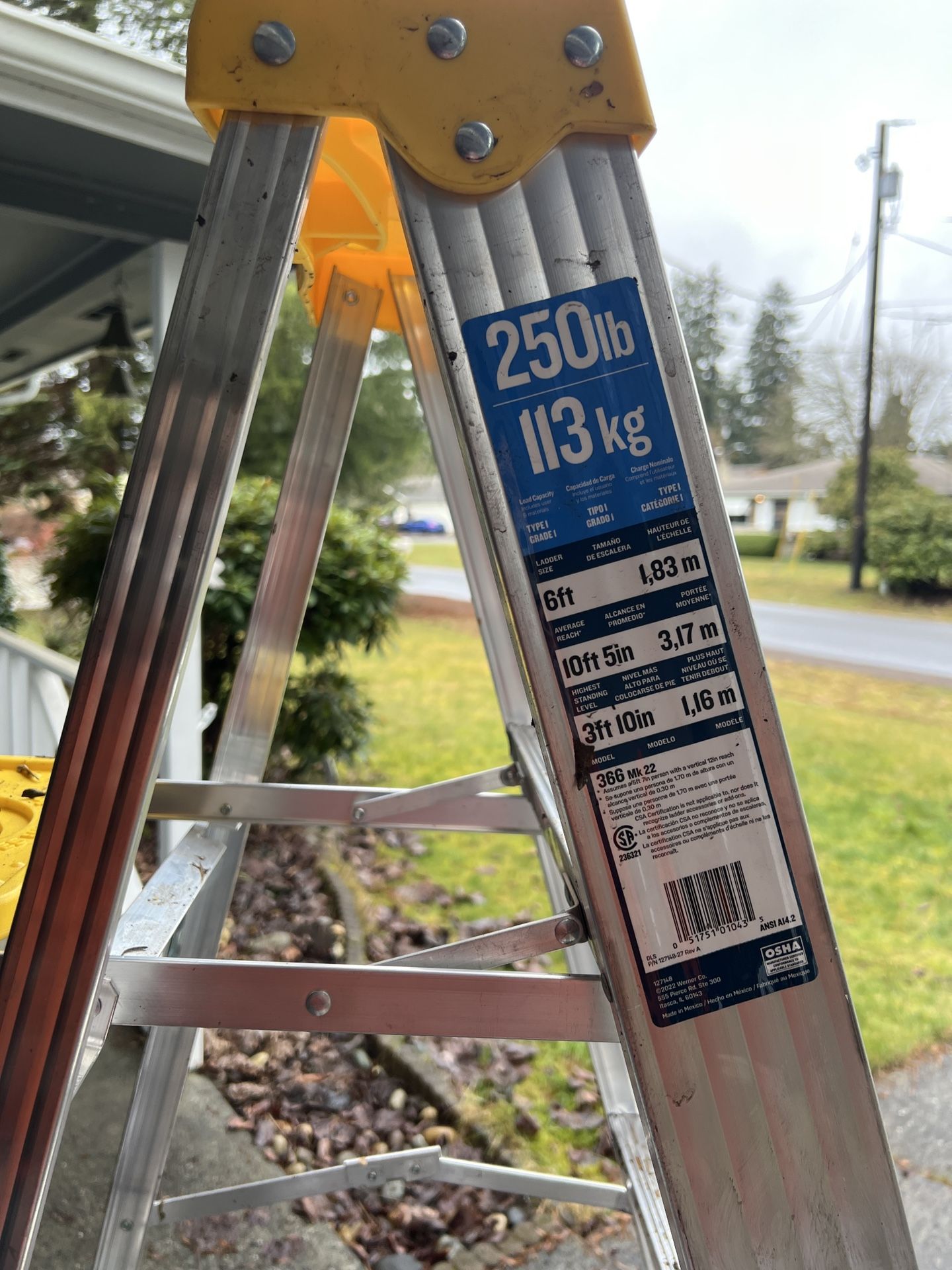 Werner Ladder For $40