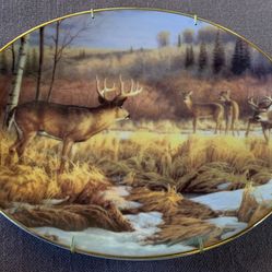 Bradford Exchange Collectible Plate” Crossing Boundaries”