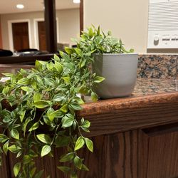 Fake Plant (brand New)