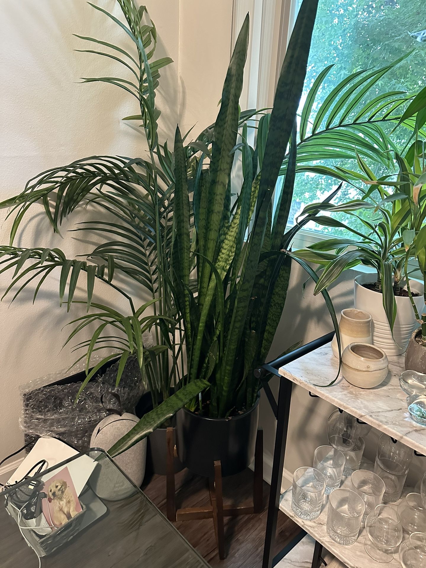 Fake Plants
