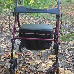 Mobility Walker