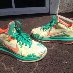 Nike LeBron 9 Lowtop "Lebronald Palmer"