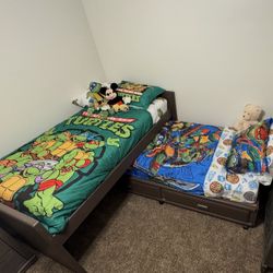 2 Twin Beds + 4 Drawers + 1 Mattress