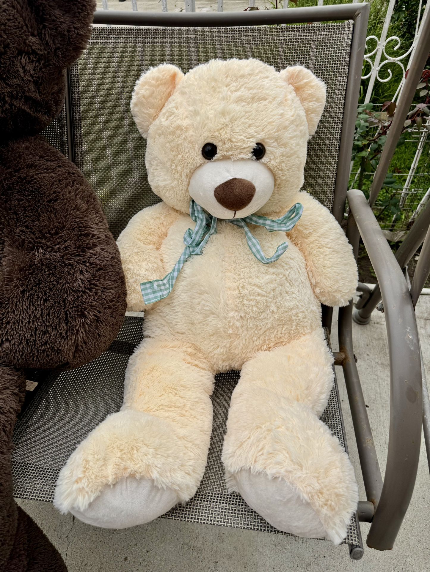 Teddy Bear