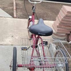 Tri-fecta 3-wheeler Bicycle 