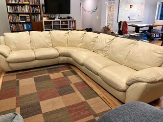 Couch, Natuzzi sectional