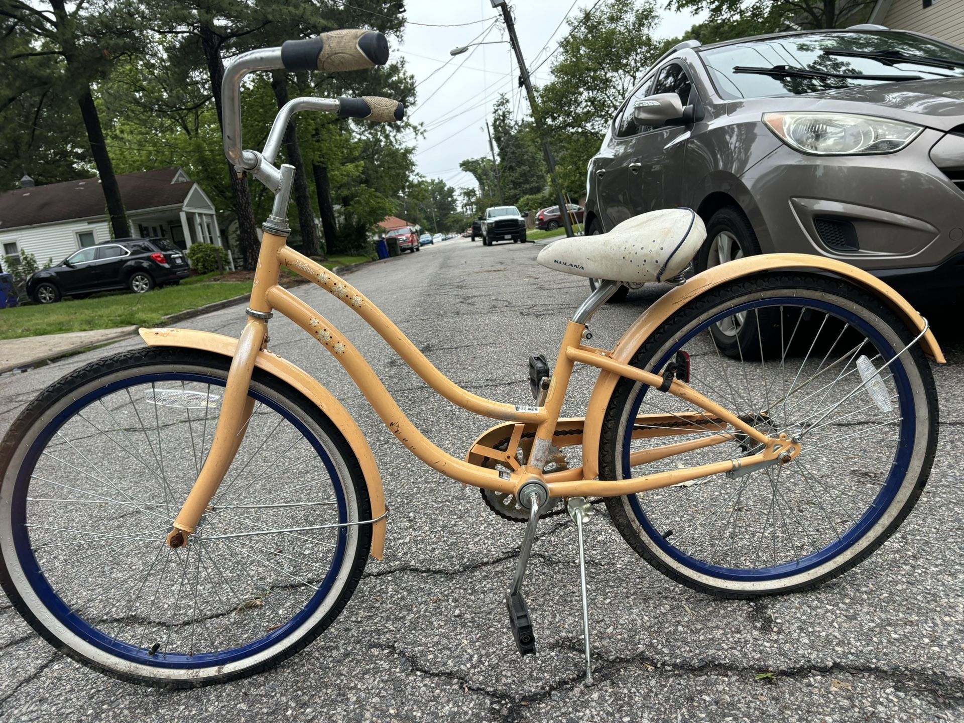 Bicycle Beach Cruise