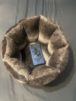 Cat Bed