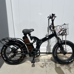 750 W E-bike 