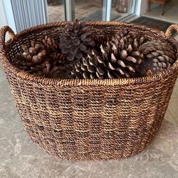 Beuty full Basked with Pine Cons 