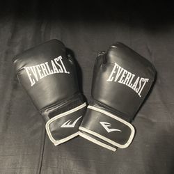 Everlast Boxing Gloves