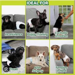 Pañales Para Perto Machito