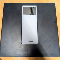 Taylor Digital Scale