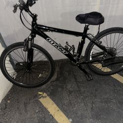 Giant Boulder Mountain bike 