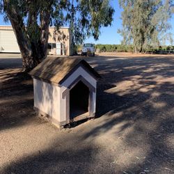 Dog House