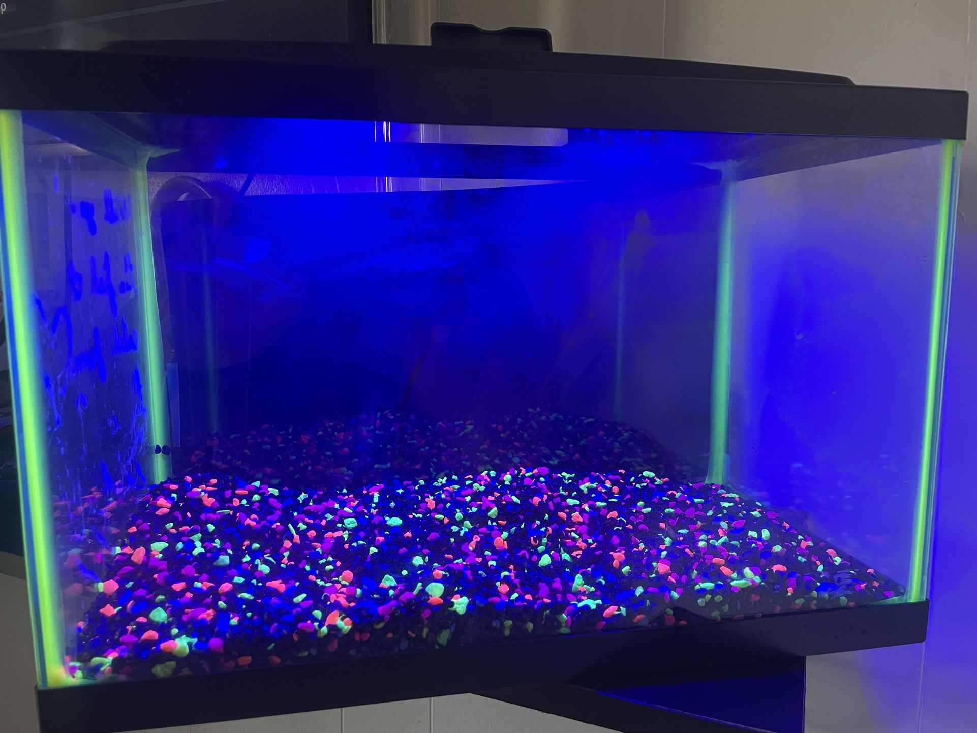 Fish Tank