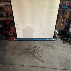 Vintage 1970s Projection Screen