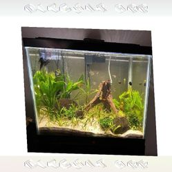 Complete Aquarium System - Jump into Water World Beauty with member