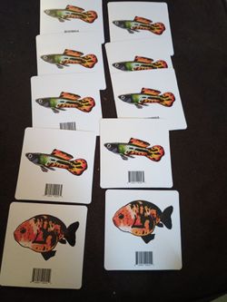 Fish stickers