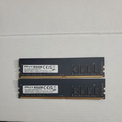 16GB (2x8GB) PNY DDR4-3200 RAM – $20