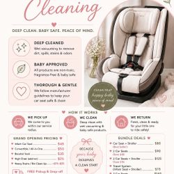 Car Seat Cleaning 