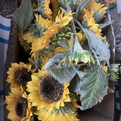 Miscellaneous Wedding Decorations 