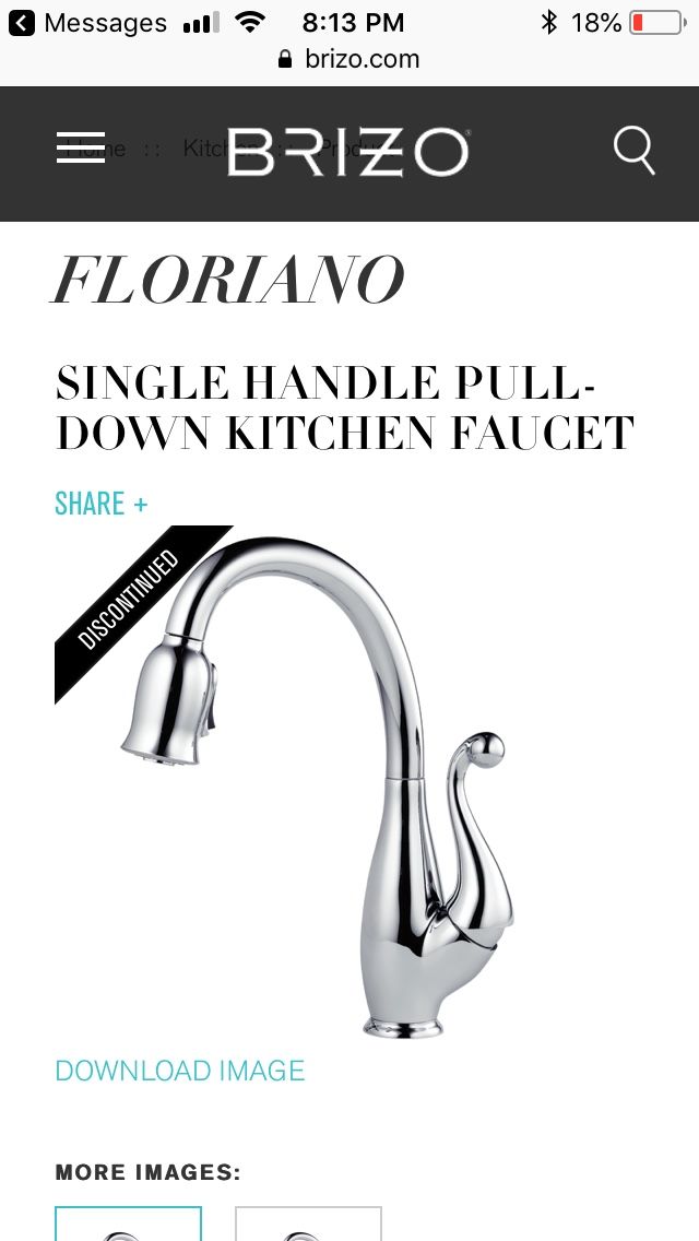 Brizo Floriano Single Handle Pull Down Faucet