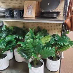 Artificial Plants 20.00 Each