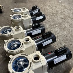 Brand New Whisperflo Inground Pool Pumps