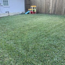 Lawn Care