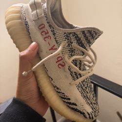 Yeezy 350 Zebra Size 8.5
