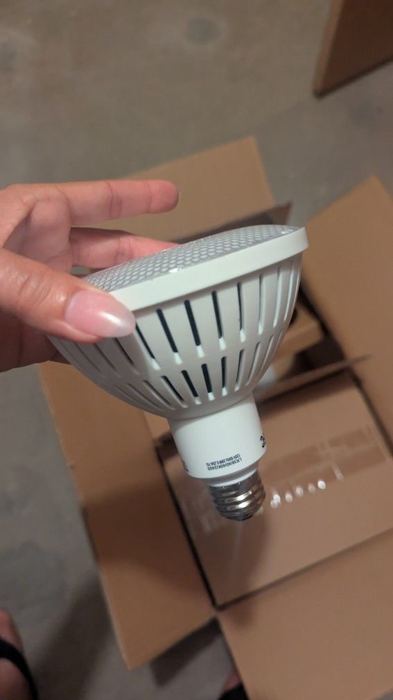 FREE Box of LED Lights Bulbs