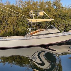 1968 Bertram 31