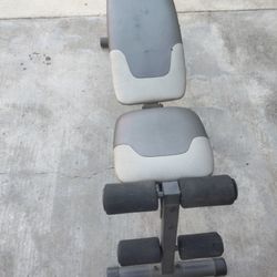 The Gold's Gym XR 5.9 Wright Bench