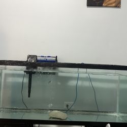 55 Gallon Tank 