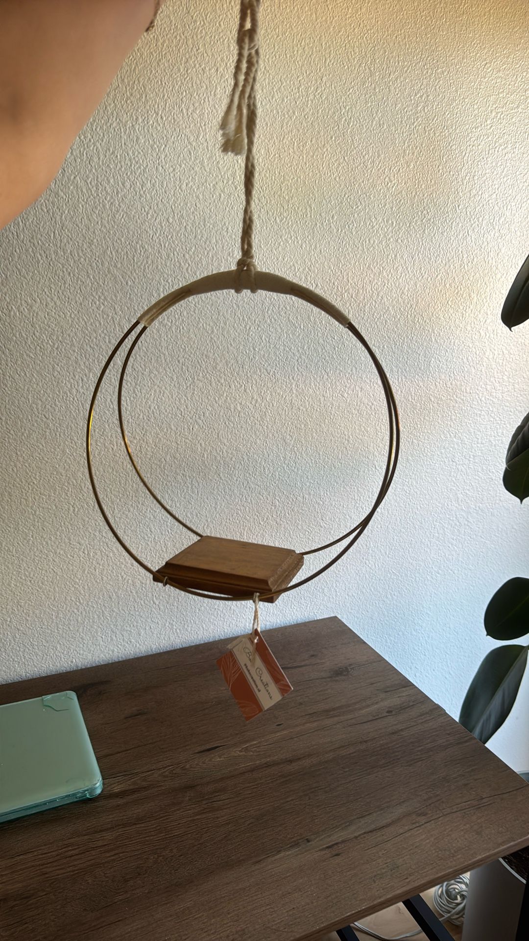 Hanging Plant holder