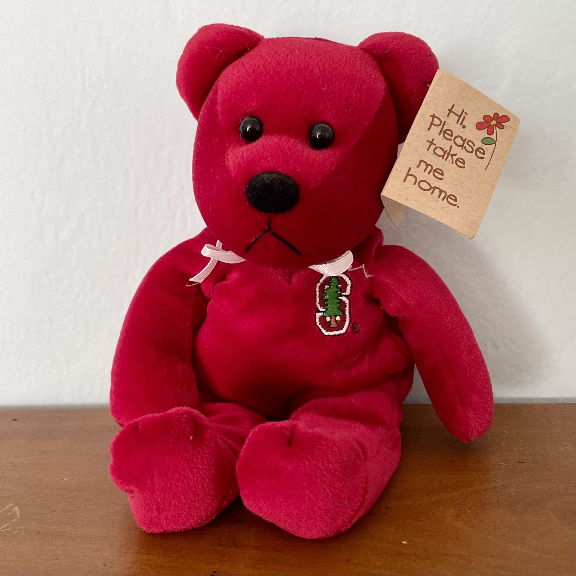 Rare Stanford University Beany Bear