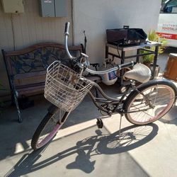 Beach Cruiser