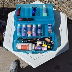 Assorted paints with tackle box case