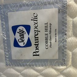 Queen Bed and Mattress