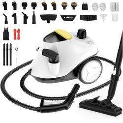 Steam Cleaner