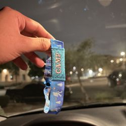 CAMP FLOG GNAW GA