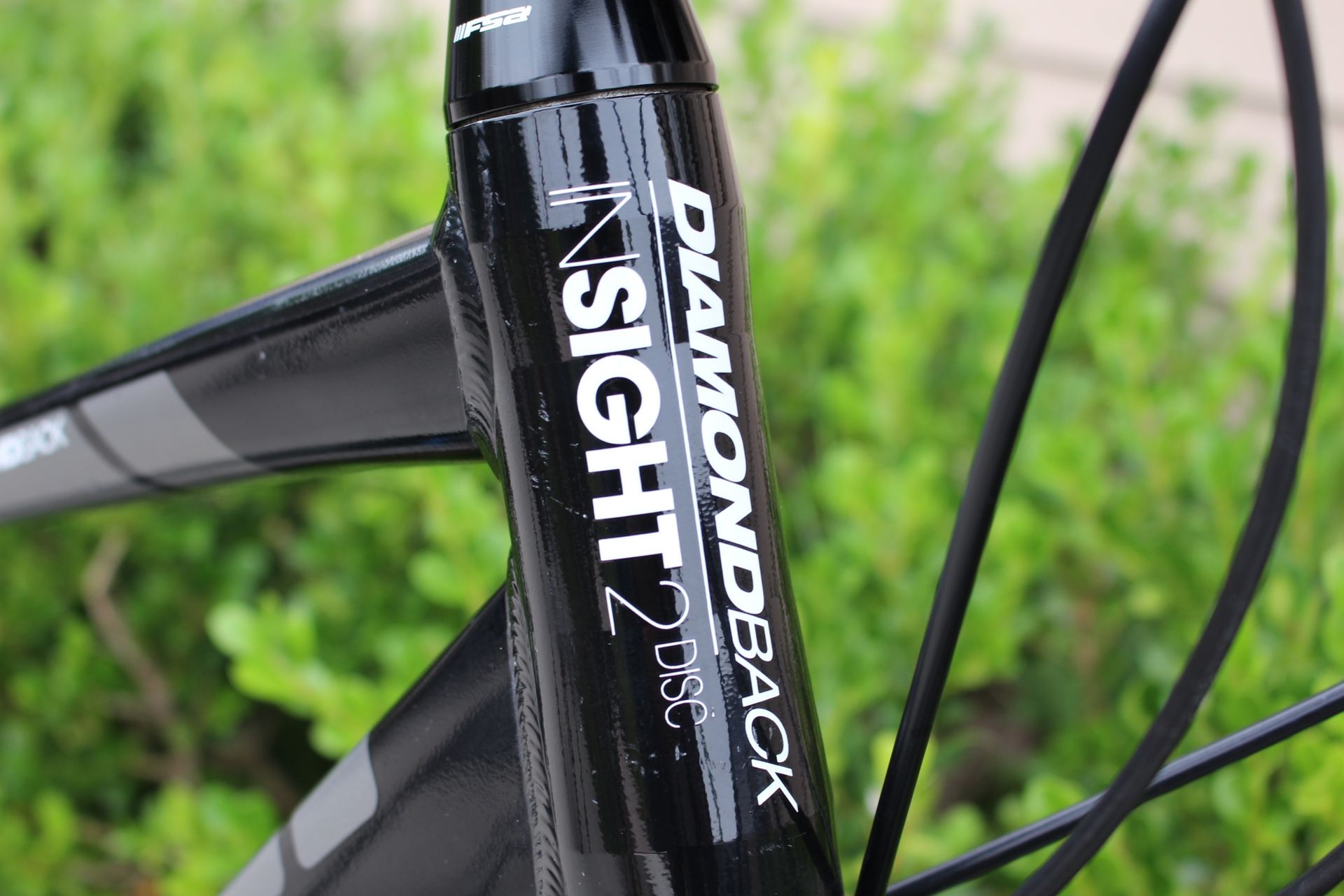 Diamondback insight clearance 2 disc