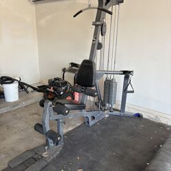 Lat Pull Down Matching, Leg Extension, And Seated Row