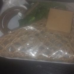 Bearded Dragon Hammock Kit